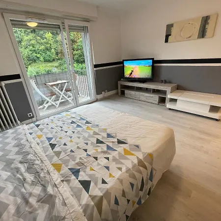 Διαμέρισμα F1 Avec Terrasse, 5 Min De Colmar, Vignoble Et Free Parking