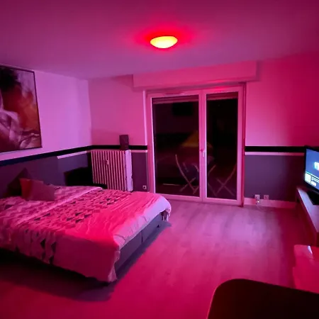 F1 Avec Terrasse, 5 Min De Colmar, Vignoble Et Free Parking *