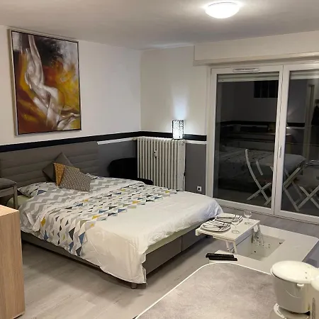 Apartment F1 Avec Terrasse, 5 Min De Colmar, Vignoble Et Free Parking