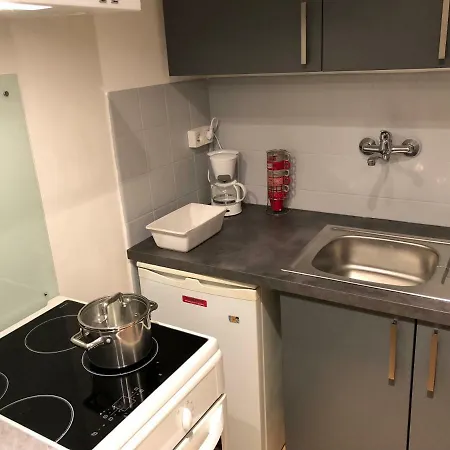Apartment F1 Terrasse Hydromassage Led, Colmar A 5min, Calme