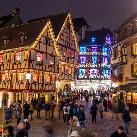 Apartment F1 Avec Terrasse, 5 Min De Colmar, Vignoble Et Free Parking