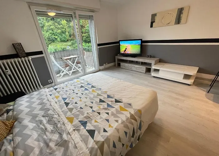 Apartment F1 Avec Terrasse, 5 Min De Colmar, Vignoble Et Free Parking