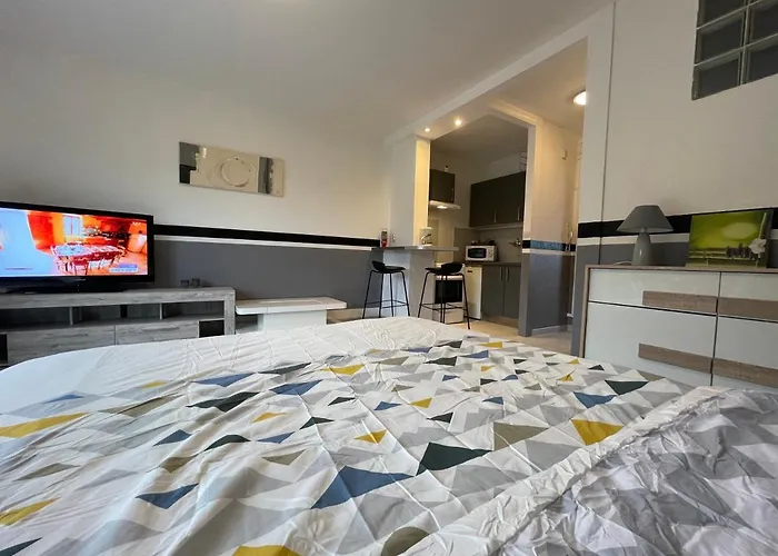 F1 Avec Terrasse, 5 Min De Colmar, Vignoble Et Free Parking Apartment