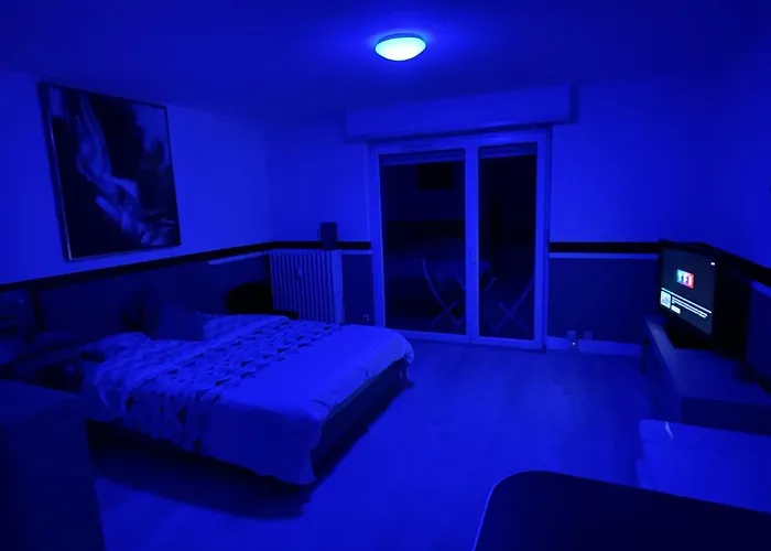 F1 Avec Terrasse, 5 Min De Colmar, Vignoble Et Free Parking *