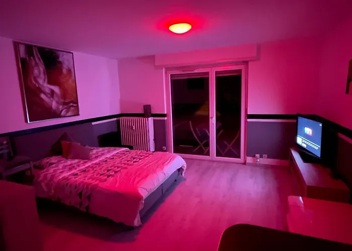 F1 Avec Terrasse, 5 Min De Colmar, Vignoble Et Free Parking *