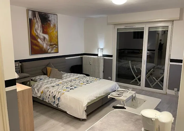 Apartment F1 Avec Terrasse, 5 Min De Colmar, Vignoble Et Free Parking
