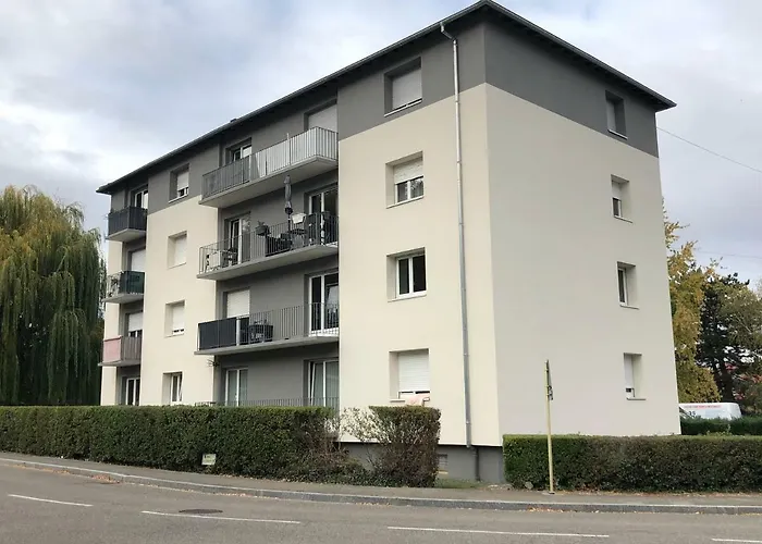 Apartment F1 Avec Terrasse, 5 Min De Colmar, Vignoble Et Free Parking