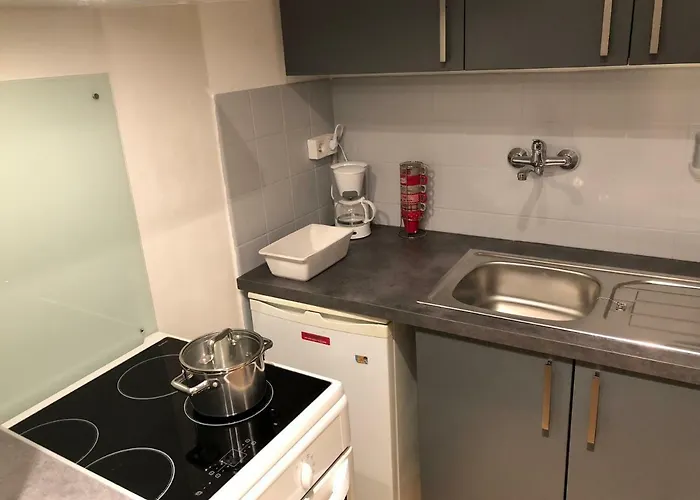 Apartment F1 Avec Terrasse, 5 Min De Colmar, Vignoble Et Free Parking